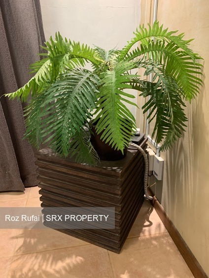 Blk 531 Choa Chu Kang Street 51 (Choa Chu Kang), HDB Executive #223415221